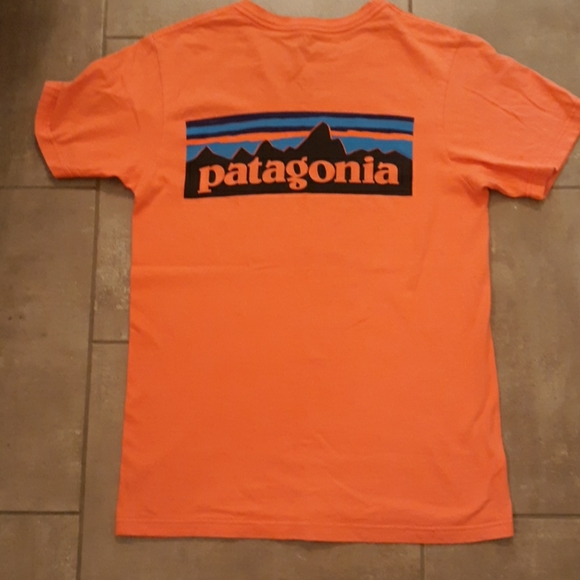 Patagonia Other - Patagonia Men's XS TShirt